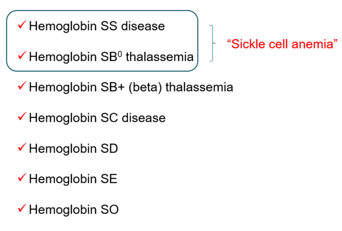 Imaging And Labs • The Blood Project