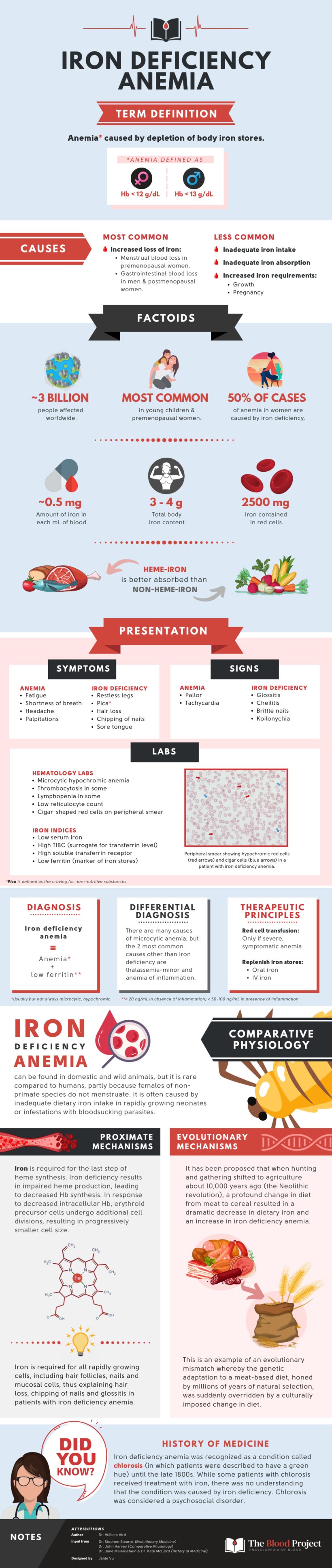 Iron Deficiency Anemia The Blood Project   IDA 820x3876 