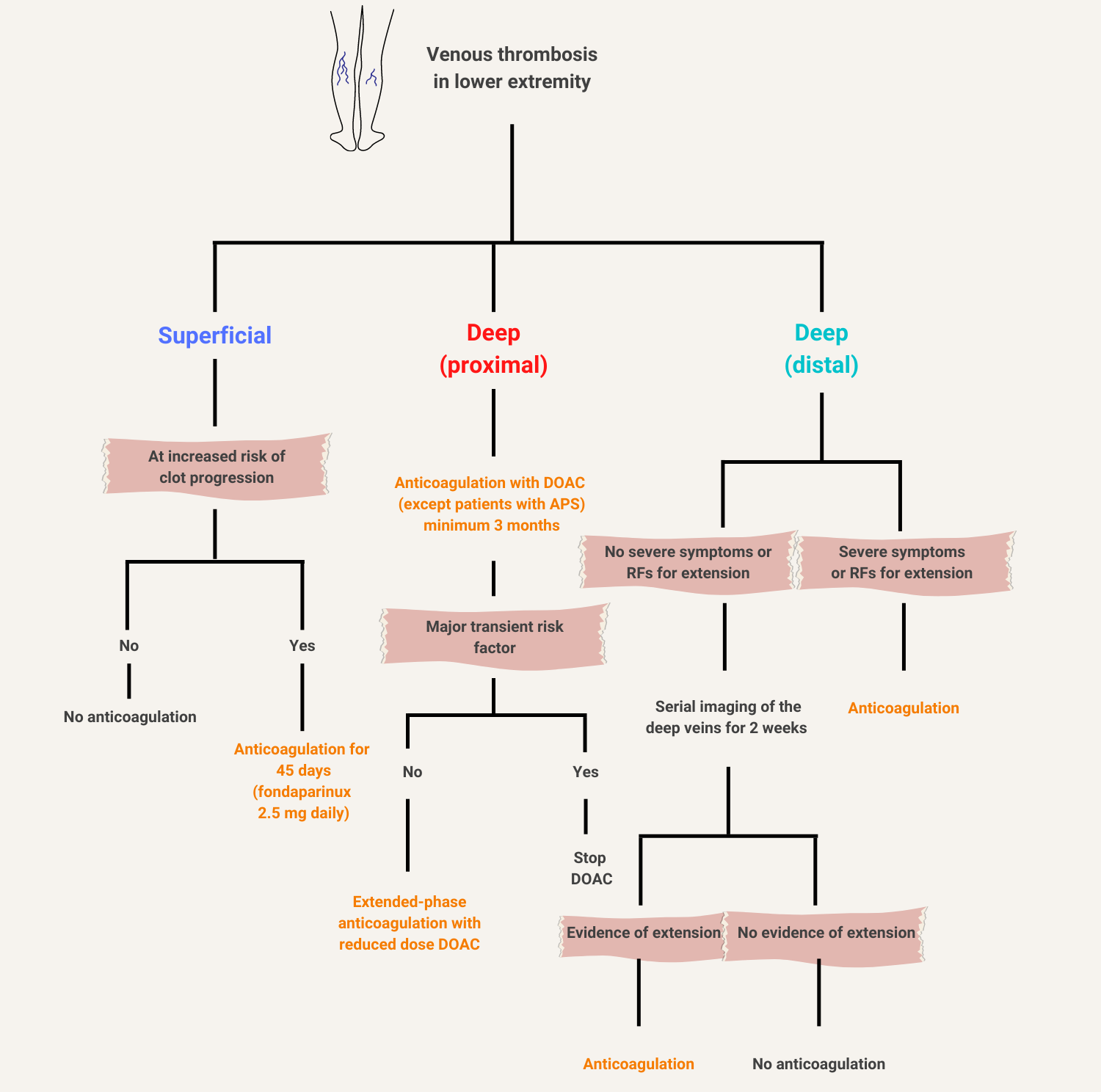 venous-thrombosis-in-lower-extremities-treatment-overview-the-blood