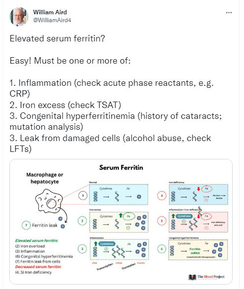 serum-ferritin-the-blood-project