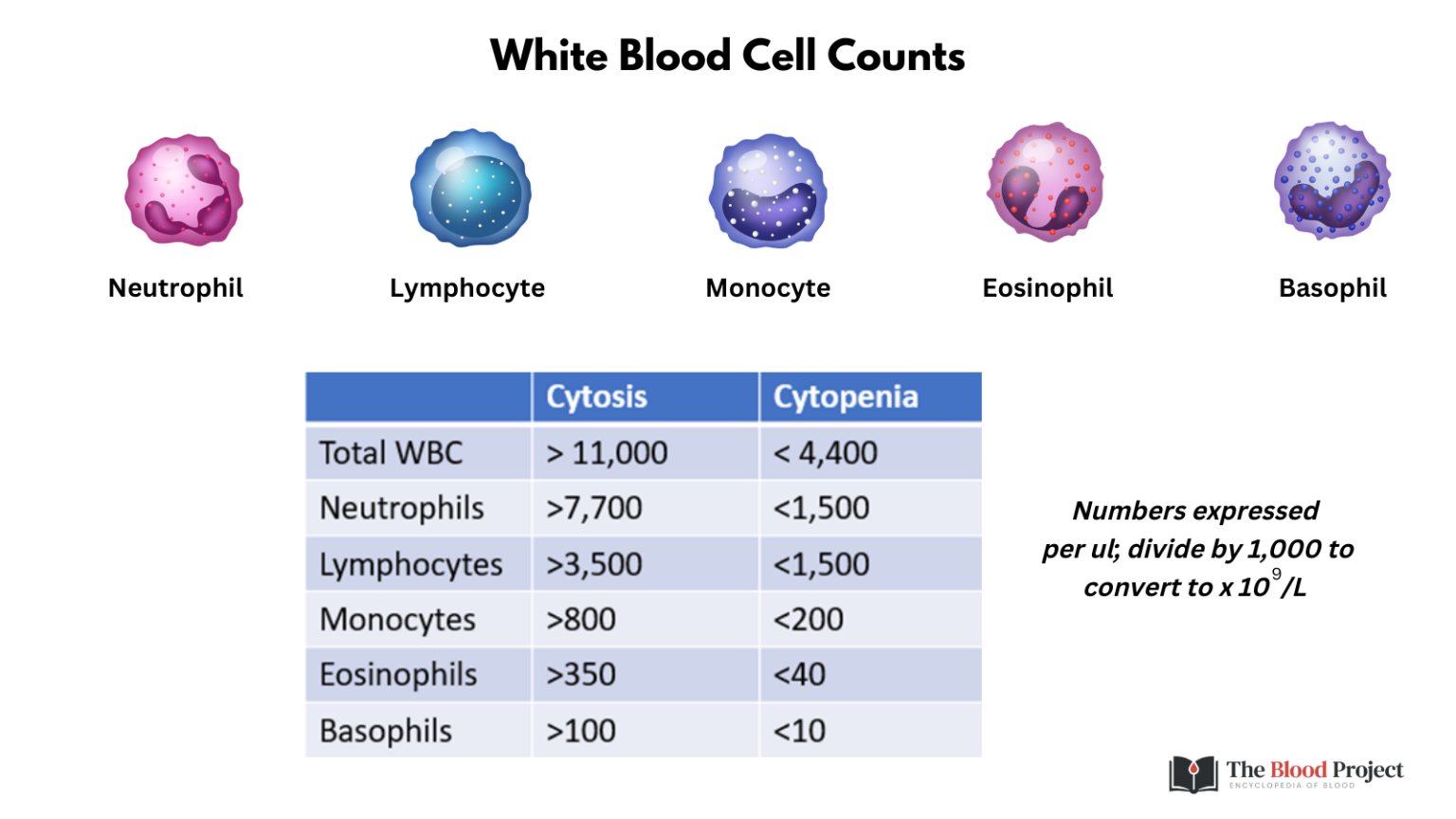 understanding-elevated-white-blood-cell-count