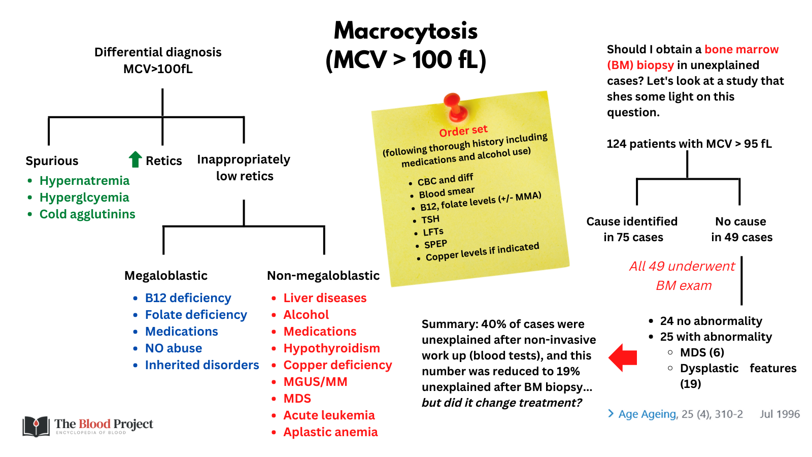 macrocytosis-the-blood-project