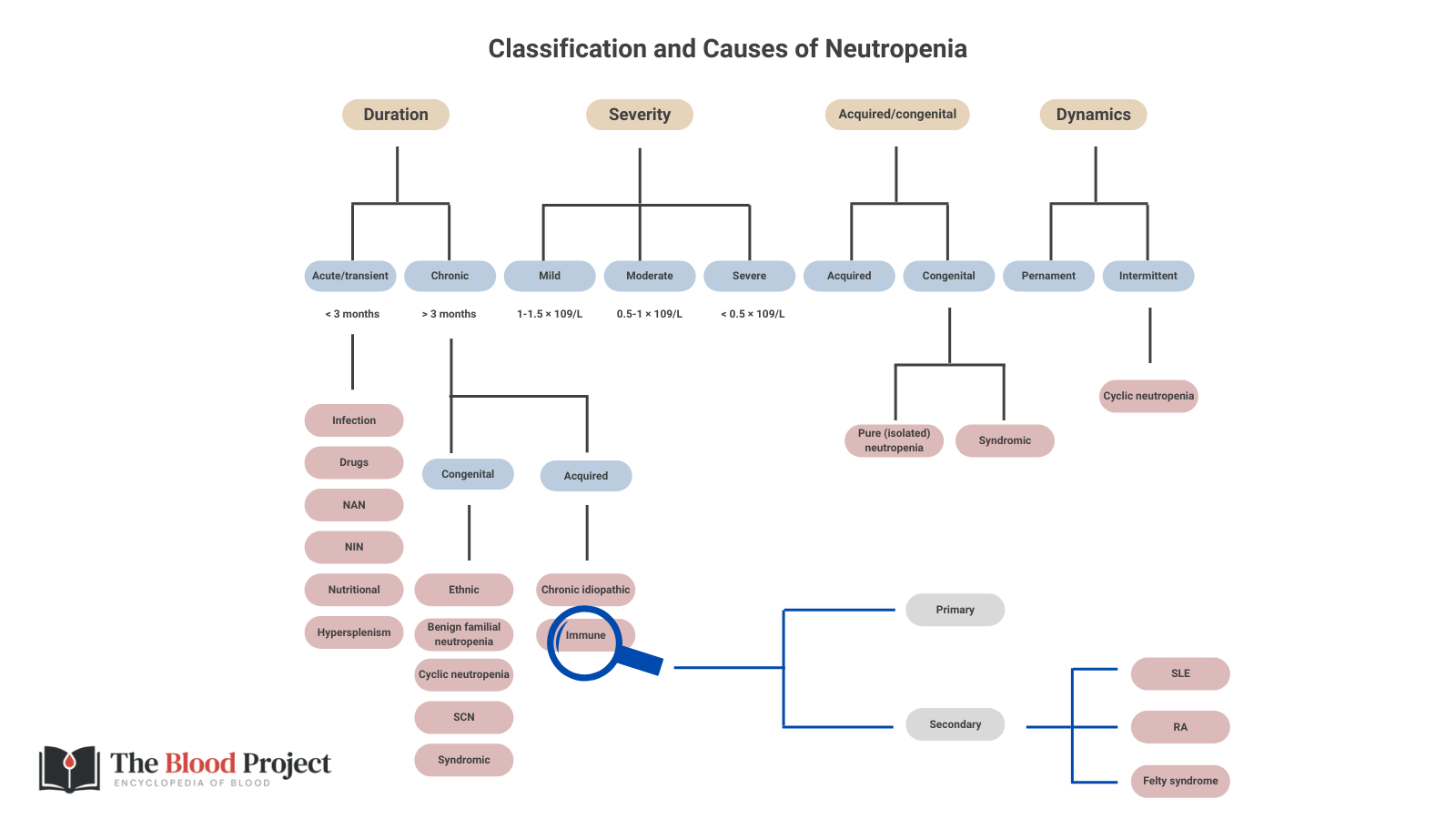 Neutropenia Classification • The Blood Project