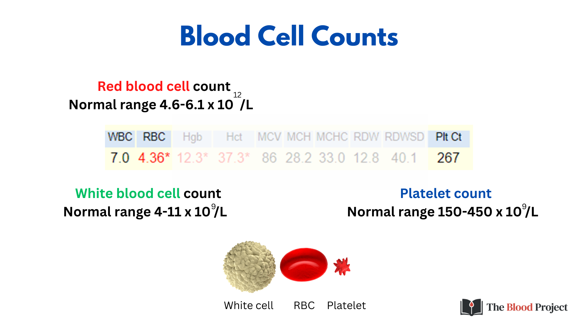 what-causes-high-red-blood-cell-count-in-dogs-one-top-dog