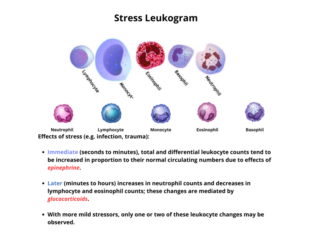 How to Remember the Pattern of a Stress Leukogram  Need to remember the  pattern of a stress leukogram in dogs Think about the last time you  SMILED  By MSD Veterinary ManualFacebook